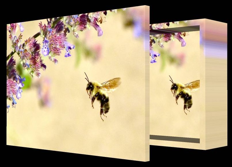 Impressionist Bee box with lid - by Tony Karp - Art in the 3rd Dimension